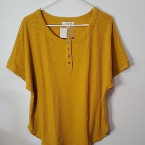 Umgee Yellow Boxy Polo Top with Flutter Sleeves